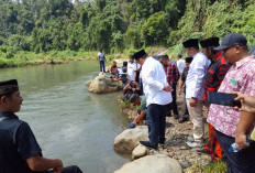 Wisata Ikan Larangan Desa Taba Lubuk Puding Hampir Tembus 1.000 Orang di Hari Ke-4 Lebaran