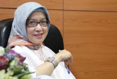 CPNS 2026: Fresh Graduate Dapat Porsi Lebih Besar dalam Rekrutmen ASN