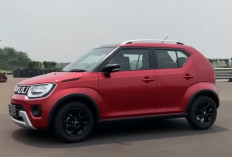 Dulu Dibenci, Sekarang Dicari! 5 Alasan Kenapa Suzuki Ignis Layak Masuk Daftar Belanja Anda