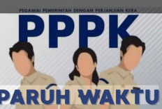 Pemkab Bengkulu Selatan Pastikan Pelantikan 1.187 PPPK Paruh Waktu Bulan Ini