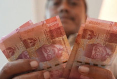 Daftar Lengkap UMR 2026 di Indonesia dan Rata-rata Kenaikannya