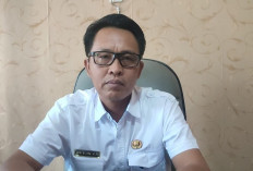 Sektor Pendidikan Membaik, Anak Putus Sekolah di Bengkulu Selatan Berkurang