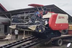 Bisa Panen Padi Pakai Mesin Combine, Petani Ucapkan Terima Kasih ke Bupati Rifai Tajudin
