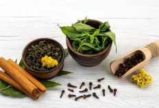GERD Bisa Diredakan, Ini 6 Tanaman Herbal yang Mudah Ditemukan dan Berpotensi Ampuh
