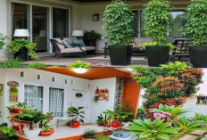 Inspirasi Teras Depan Minimalis Tanpa Pagar, Konsep Hunian Modern yang Simpel namun Elegan