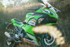 Kawasaki Ninja 300 2026 Resmi Meluncur, Warna dan Grafis Baru, Mesin Tetap Dipertahankan