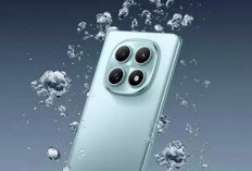 POCO M8 5G Resmi Meluncur Global, Desain Tipis dengan Performa Snapdragon