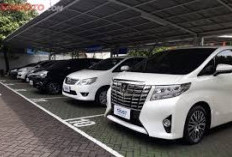 Lebaran Mobil Baru! Harga Mobil Seken Lagi Turun, Perbandingan Harga Showroom, Pemakai Langsung dan Lelang 