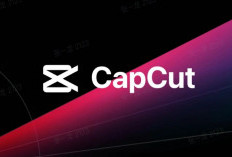 Dapatkan Uang dari Aplikasi CapCut, Modalnya Cuma HP dan Lakukan 5 Cara Ini