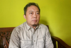 Burung Hantu Jangan Dipelihara, BKSDA Seluma Terima Penyerahan Dari Warga