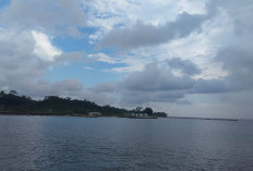 Anggaran Rp230 Miliar Disetujui, Pelabuhan Linau Kaur Segera Direvitalisasi