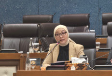 Erna Sari Dewi Bawa Ratusan Program Bedah Rumah untuk Kaur 