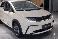 Diskon Sampai 50 Persen! Segini Harga Mobil Bekas BYD Per Januari 2026