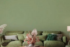 Agar Rumah Terasa Lebih Modern, Ini Tren Warna Cat Tembok yang Diprediksi Populer di 2026