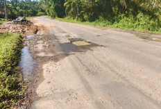 Baru Sebulan Diperbaiki, Jalinbar Bengkulu–Tais Kembali Rusak, Warga Soroti Kinerja BPJN