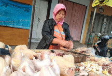 Pasca Lebaran, Harga Ayam di Seluma Masih Tinggi 