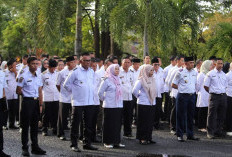 Kaur Usulkan 165 Formasi CPNS