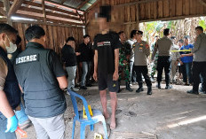 Diduga Terlilit Tagihan COD, Kurir Paket di Kaur Nekat Akhiri Hidup