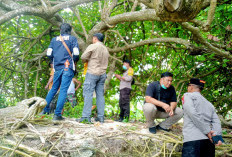 Warga Kaur Selatan Ditemukan Meninggal Dunia, Polisi Lakukan Penyelidikan