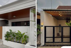 7 Inspirasi Warna Cat Pagar Rumah Minimalis Agar Terlihat Adem dan Elegan