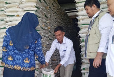 Stok Aman 970 Ton, Cadangan Beras Bengkulu Selatan Jadi Penjaga Stabilitas Harga Pangan