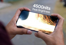 BARU RILIS! HP TECNO Terbaru dan Terbaik 2026, Ada Baterai 8.000 mAh & RAM 12/256 GB