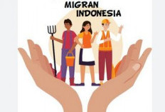 PMI Seluma Jadi Sorotan, DPRD Dorong MoU dengan BP2MI