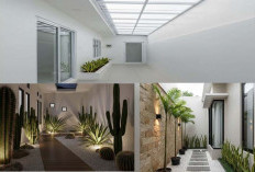Sulap Lorong Samping Rumah Jadi Ruang Cantik! 5 Desain Estetik yang Bikin Hunian Makin Hidup