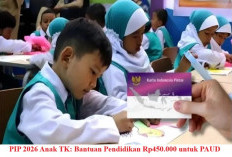 Anak TK Dapat Rp 450.000 Mulai Tahun Ini, Segera Cek Syarat dan Cara Mendapatkan Bantuan 