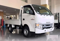 Harga Isuzu Traga Terbaru 2026, Truk Niaga Ringan Andal untuk Berbagai Usaha