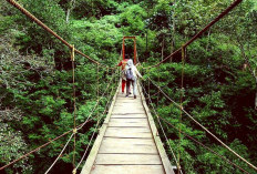 Tahura Geluguran Resmi Ditetapkan, Pengawasan Masih Terkendala