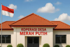 Gaji dan Jabatan di Koperasi Merah Putih: Ini Rincian Posisi, Skema Upah, dan Rekrutmen 30.000 Manajer