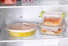 Kesalahan Fatal Menyimpan Makanan di Kulkas: Delapan Jenis Makanan Ini Bisa Berbahaya Disimpan Terlalu Lama