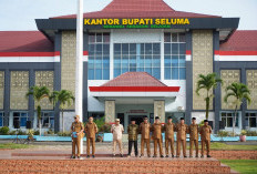 Rekrut Non-ASN Dihentikan, Pemkab Seluma Terapkan Skema Khusus Tenaga Tertentu