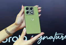 Motorola Signature Resmi Hadir: Flagship Tipis, Kamera 50MP Tiga Lensa, dan AI Produktivitas Jadi Andalan