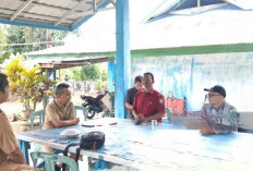 Lirik Potensi BBI, Wabup Kaur Lakukan Sidak