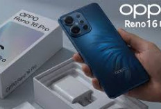 Oppo Reno 16 Pro Kantongi Sertifikasi TKDN, Siap Meluncur ke Indonesia