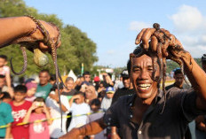 Festival Gurita 2026 Dipastikan Kembali Digelar, Semarakkan HUT Kabupaten Kaur