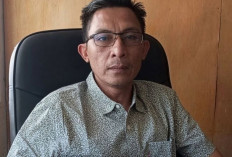 Genjot Produktivitas Sawit, Bengkulu Selatan Targetkan Peremajaan 500 Hektare di 2026