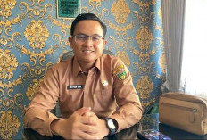 Agen dan Pengecer Diingatkan Patuhi Harga LPG 3 Kg, Pelanggar Siap Ditindak Tegas
