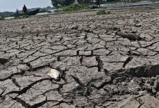 “El Nino ‘Godzilla’ Ancam Mulai April 2026: Risiko Kesehatan hingga Krisis Lingkungan Mengintai”