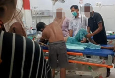 Diduga Faktor Ekonomi, IRT di Seluma Akhiri Hidup Dengan Cara Minum Racun