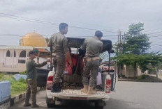 Satpol PP Bengkulu Selatan Ciduk Belasan Pelajar yang Bolos Sekolah