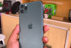 iPhone Pro Max Masih Layak Dibeli atau Sudah Ketinggalan Zaman?