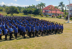 Bupati Rifa'i Tajudin Lantik 1.187 PPPK Paruh Waktu Bengkulu Selatan, Ini Pesannya
