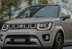 5 Alasan Suzuki Ignis Bekas Semakin Diburu Pembeli: Harga Stabil & Super Irit